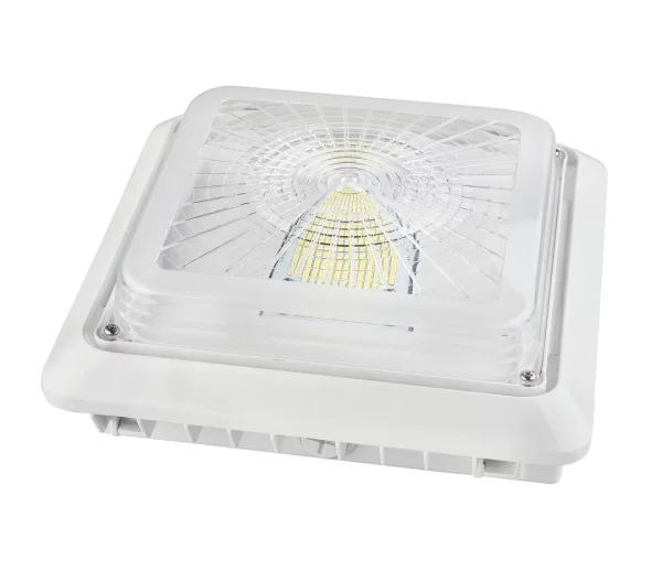 55W - LED Surface Mount Canopy Light